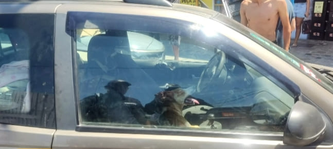 Cachorro é resgatado de carro trancado sob forte calor no Centro de Maricá