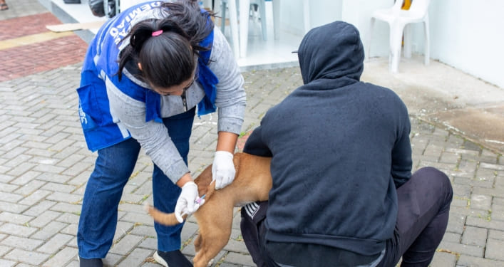 Distrito Centro recebe ação de vacinação antirrábica neste sábado (13)