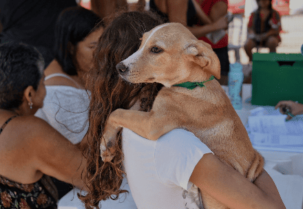 Campanha de adoção de cães e gatos acontece neste sábado (13) em Ponta Negra